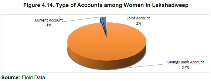 Figure 4.14. Type of Accounts among Women in Lakshadweep