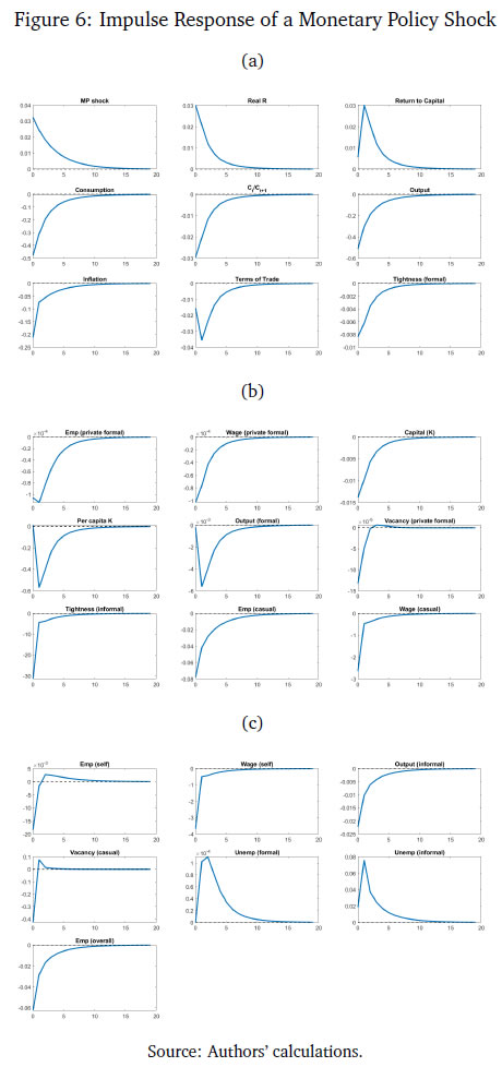 Figure 6: Impulse Response of a Monetary Policy Shock