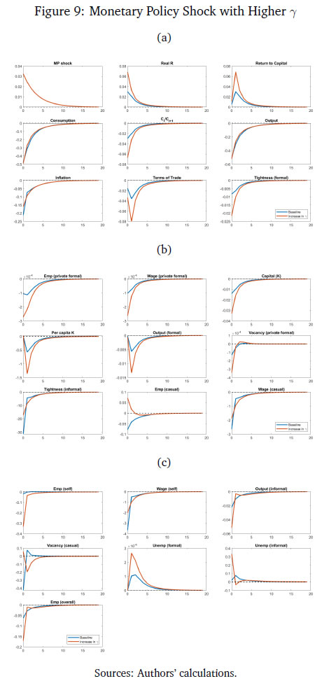 Figure 9: Monetary Policy Shock with Higher γ