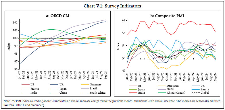 Chart V.1: Survey Indicators