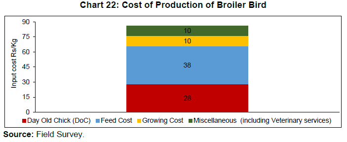 Chart 22: Cost of Production of Broiler Bird