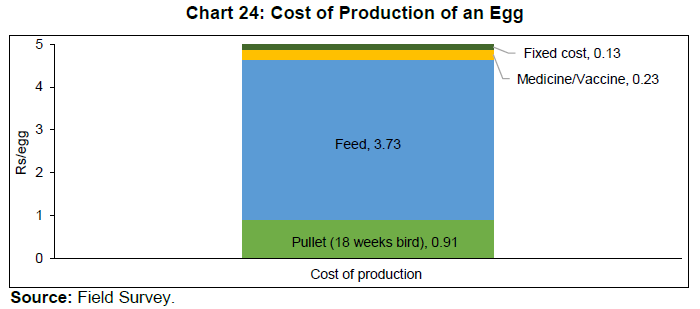 Chart 24: Cost of Production of an Egg