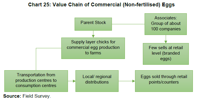 Chart 25: Value Chain of Commercial (Non-fertilised) Eggs