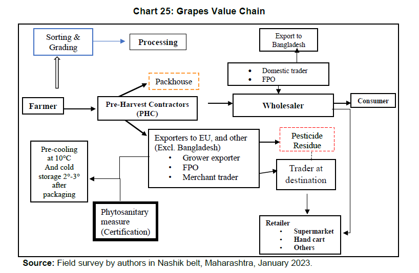 Chart 25: Grapes Value Chain