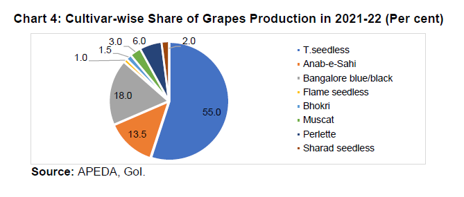 Chart 4: Cultivar-wise Share of Grapes Production in 2021-22 (Per cent)